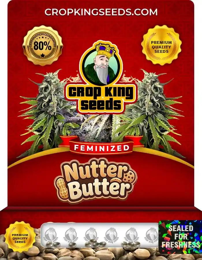 Nutter Butter Strain Feminized Marijuana Seeds