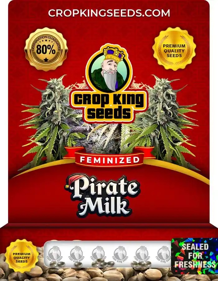 Pirate Milk Strain Feminized Marijuana Seeds