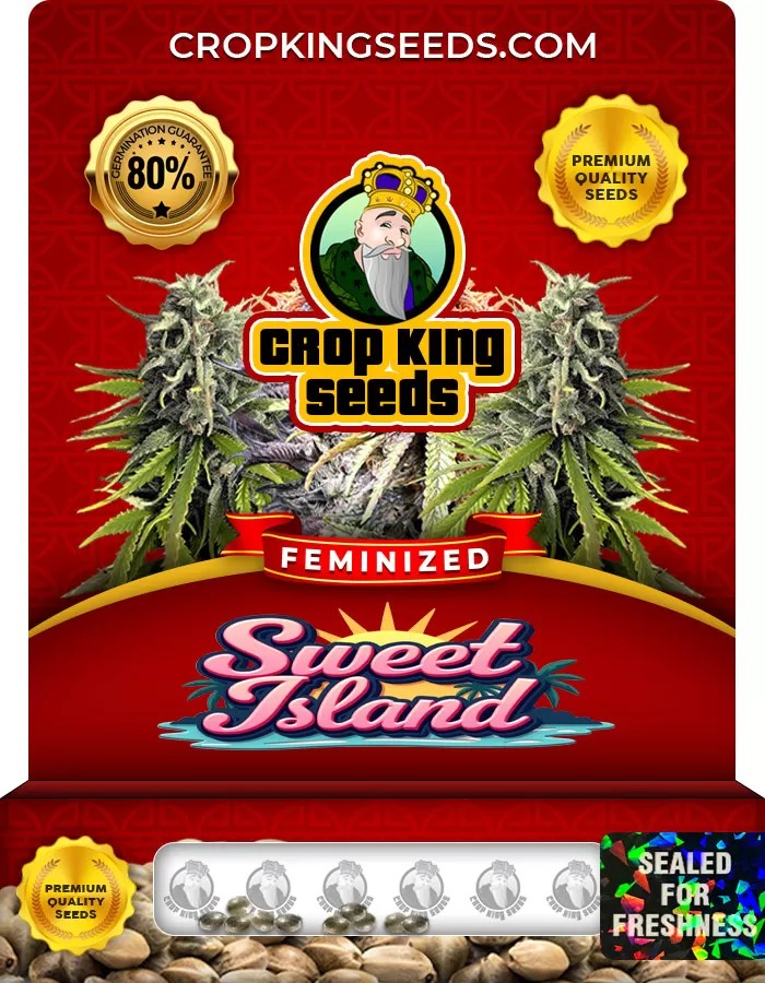 Sweet Island Feminized Marijuana Seeds
