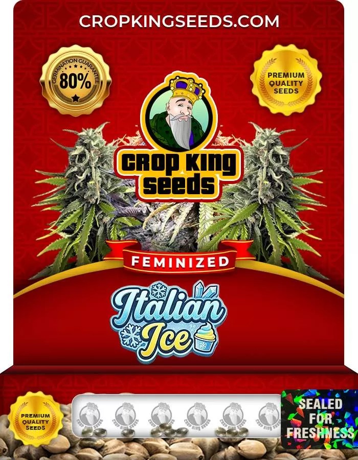 Italian Ice Strain Feminized Marijuana Seeds