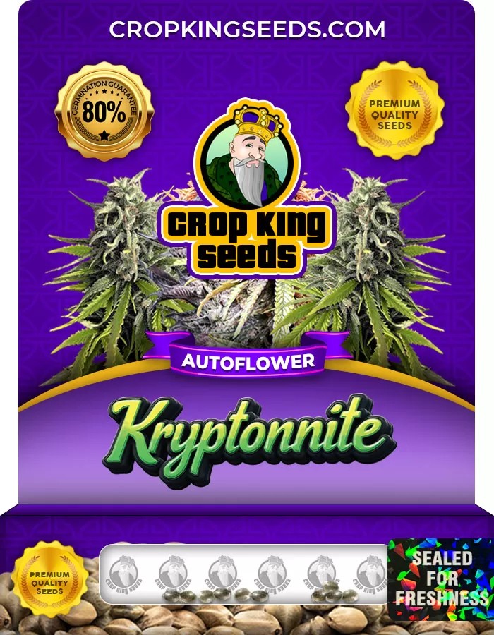 Kryptonite Autoflower Marijuana Seeds