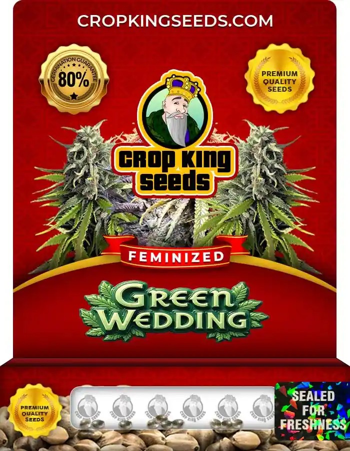 Green Wedding Feminized Seeds