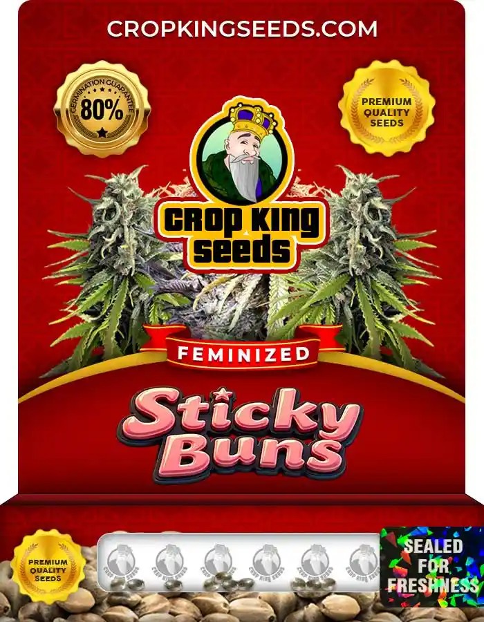 Sticky Buns Strain Feminized Marijuana Seeds