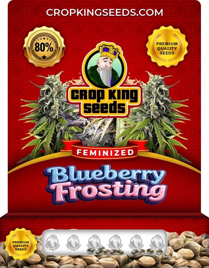 Blueberry Frosting Feminized Seeds