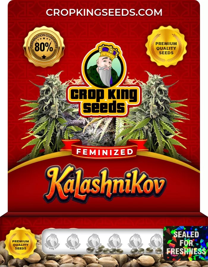 Kalashnikov Feminized Marijuana Seeds