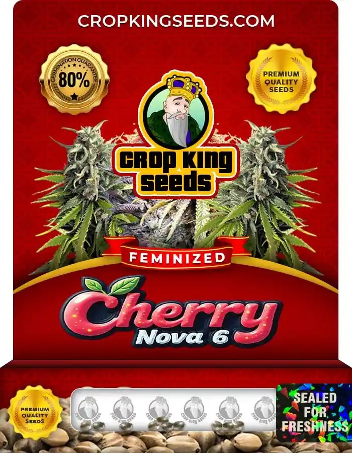 Cherry Nova 6 Strain Feminized Marijuana Seeds