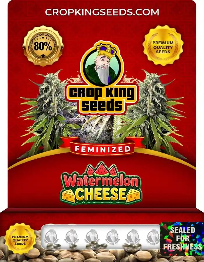 Watermelon Cheese Strain Feminized Seeds