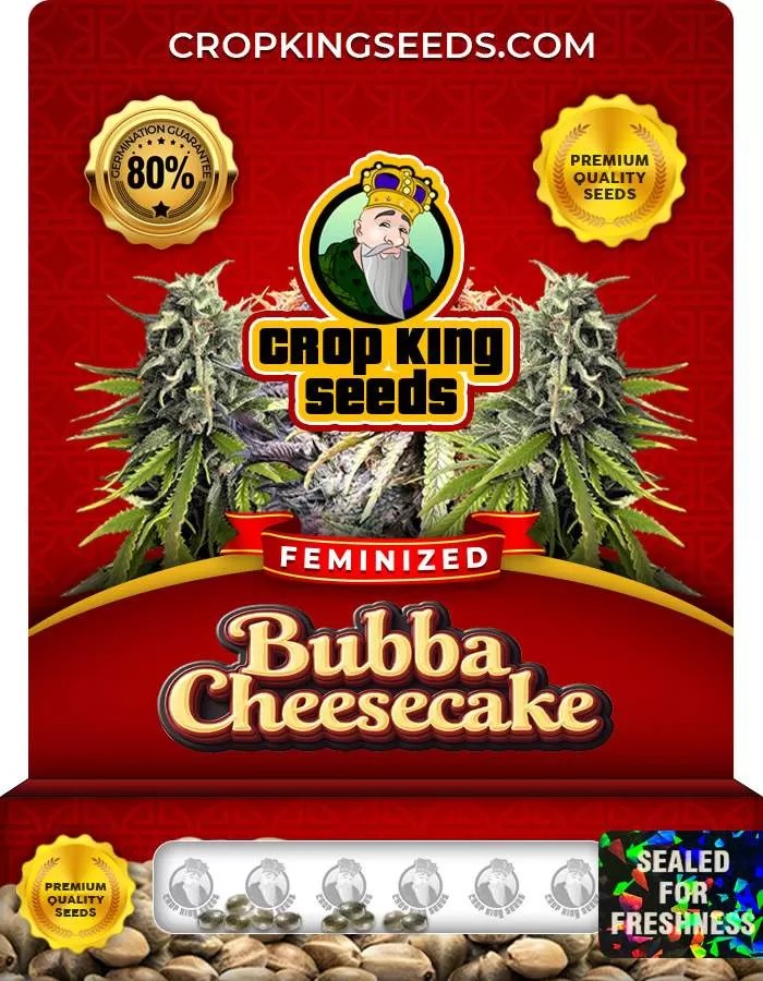 Bubba Cheesecake Feminized Seeds