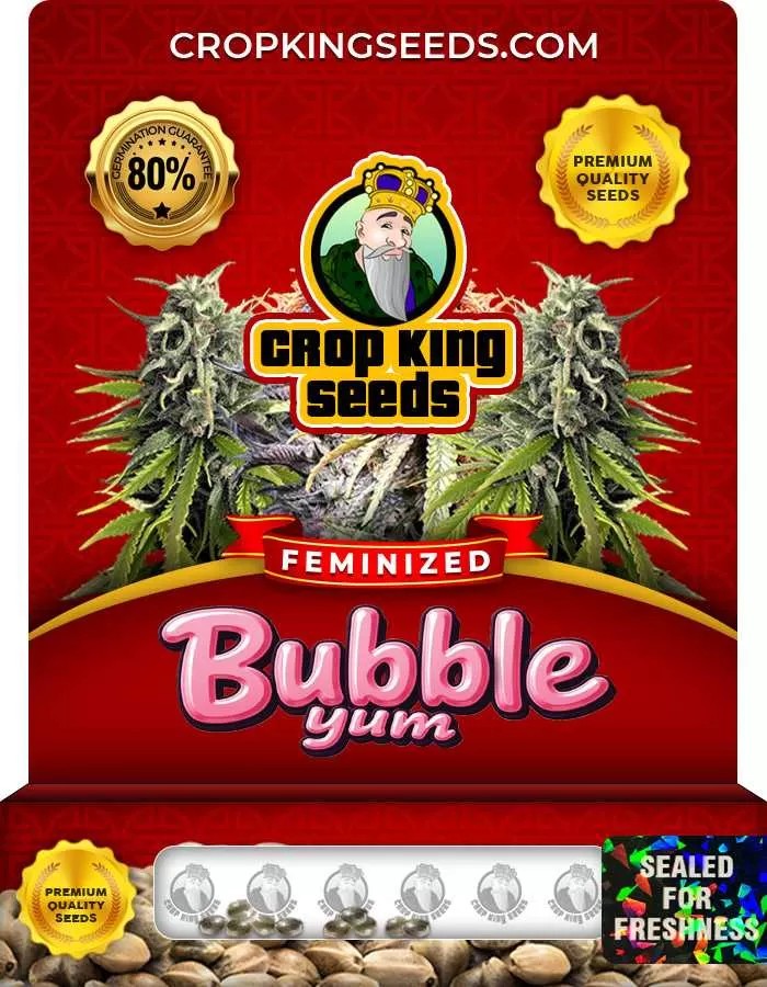 Bubble Yum Strain Feminized Marijuana Seeds