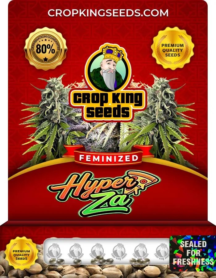 Hyper Za Strain Feminized Seeds
