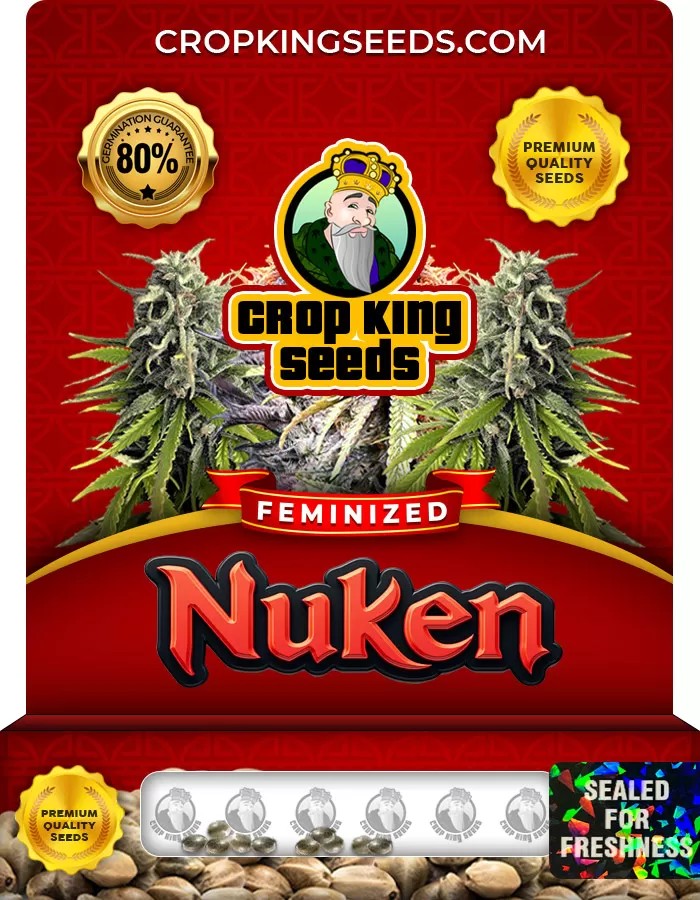 Nuken Feminized Marijuana Seeds