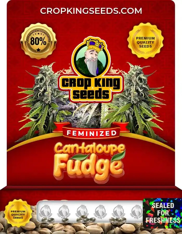 Cantaloupe Fudge Strain Feminized Seeds