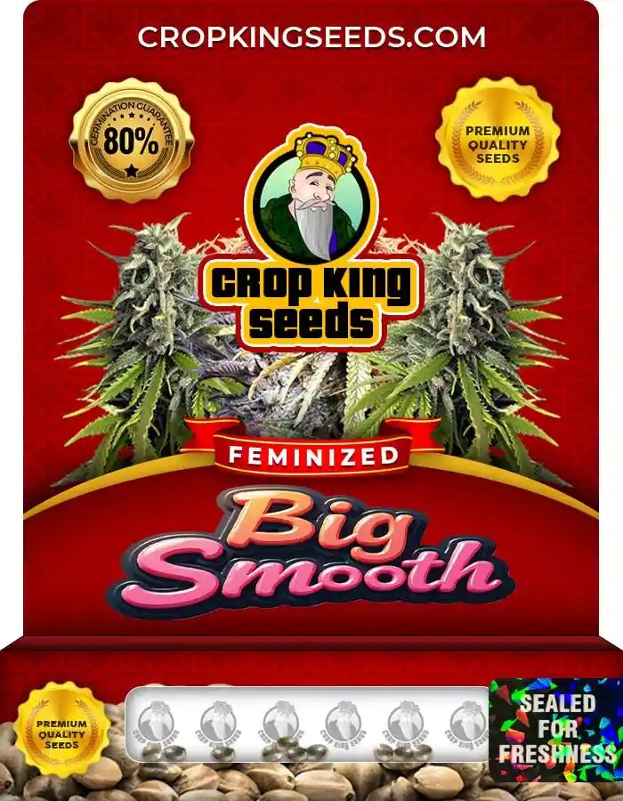 Big Smooth Strain Feminized Marijuana Seeds