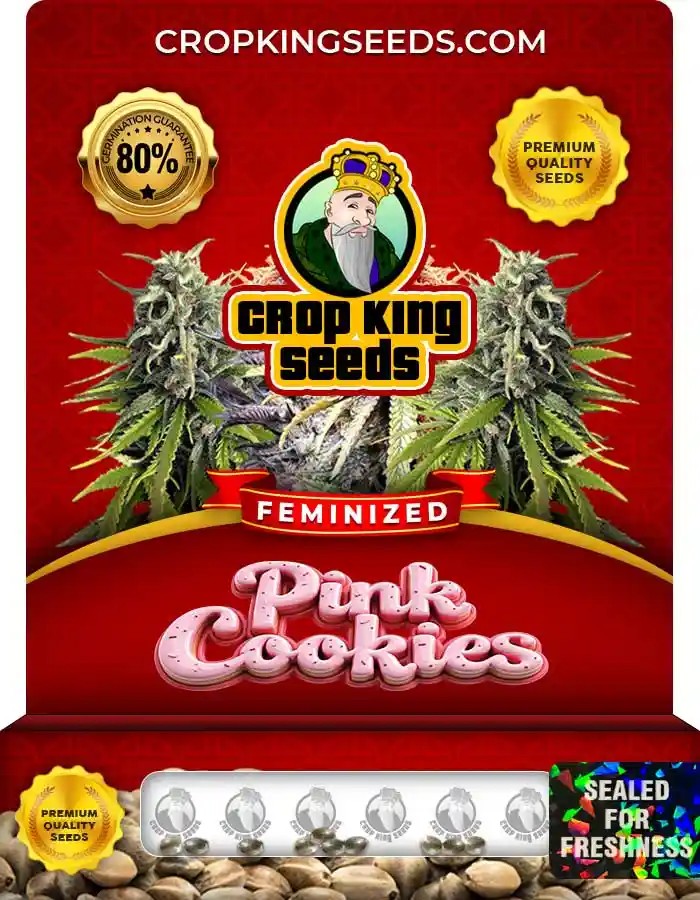 Pink Cookies Strain Feminized Marijuana Seeds