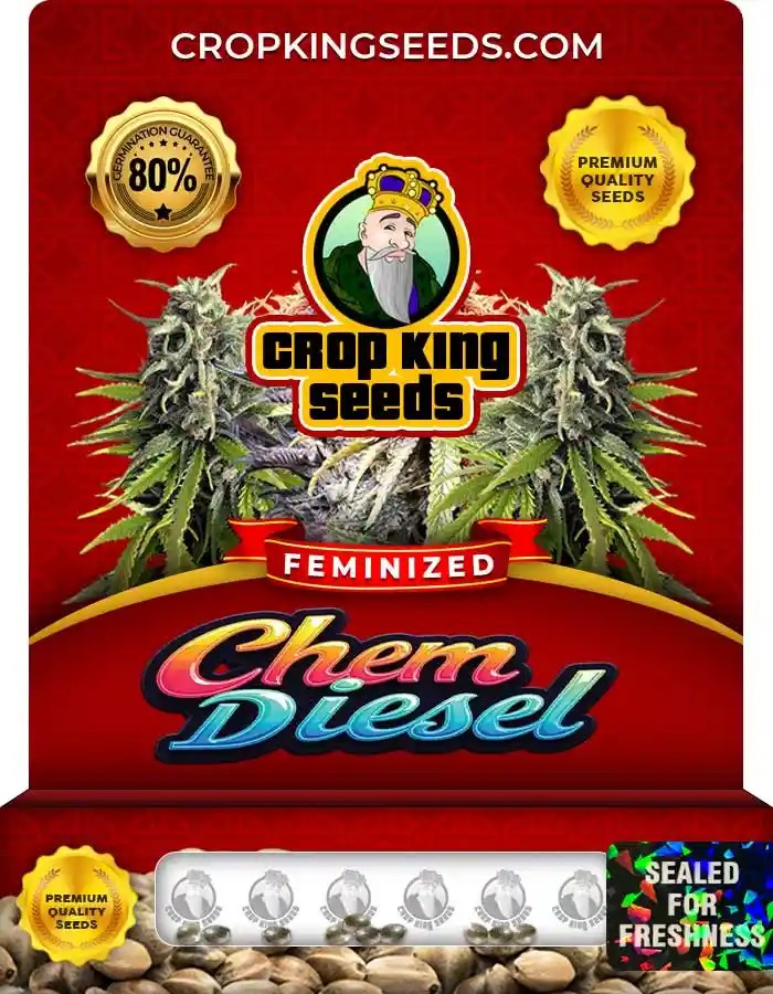 Chem Diesel Strain Feminized Seeds