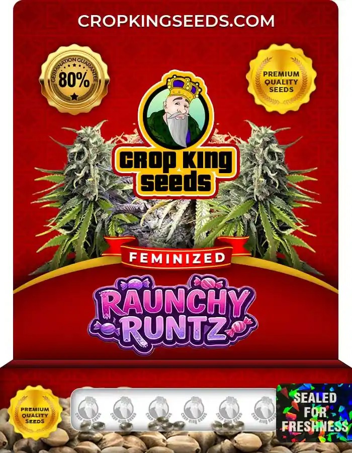 Raunchy Runtz Feminized Seeds