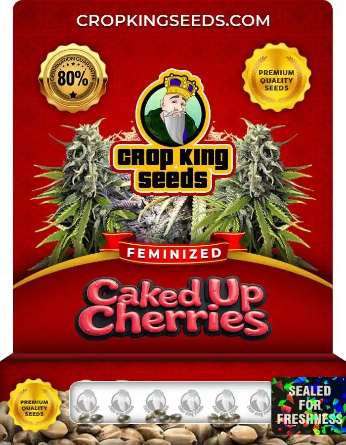 Caked Up Cherries Strain Feminized Marijuana Seeds
