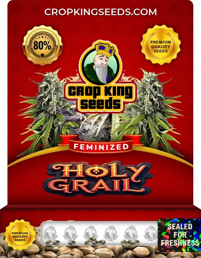 Holy Grail Strain Feminized Marijuana Seeds