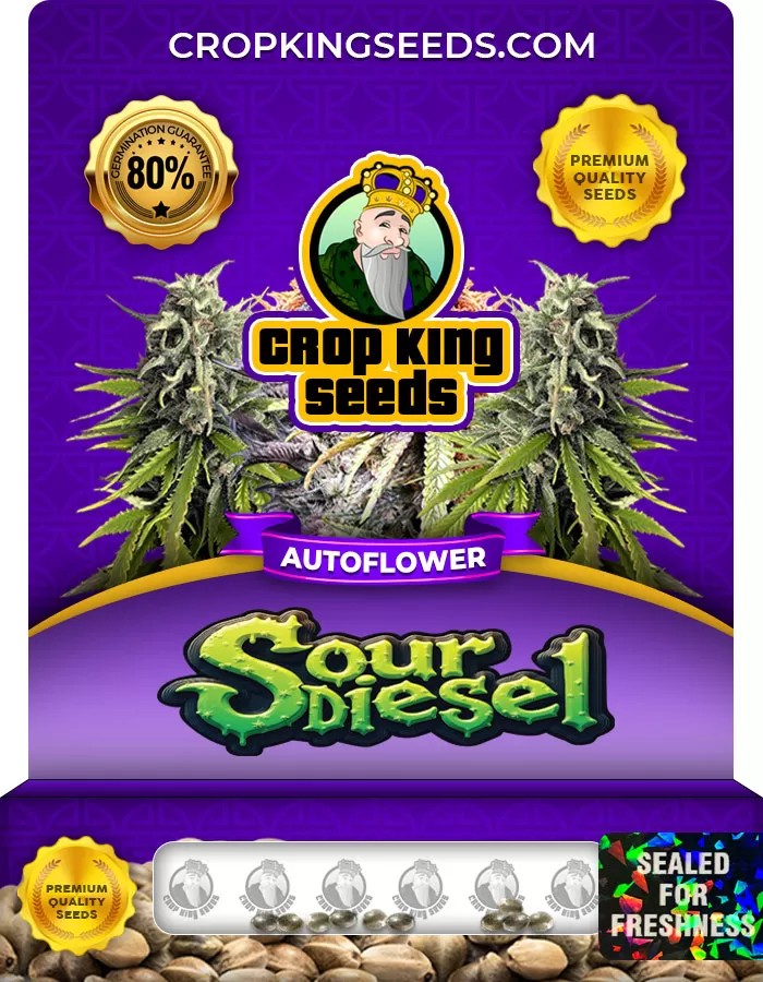 Sour Diesel Autoflower Marijuana Seeds