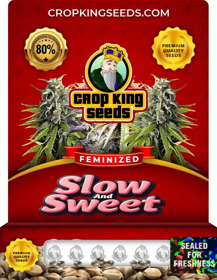 Slow and Sweet Strain Feminized Marijuana Seeds