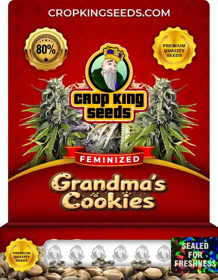 Grandma’s Cookies Strain Feminized Marijuana Seeds