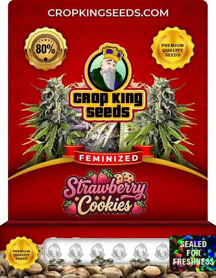 Strawberry Cookies Strain Feminized Marijuana Seeds