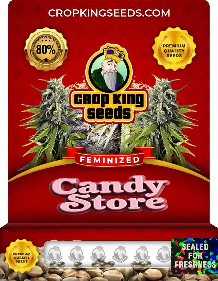 Candy Store Strain Feminized Marijuana Seeds
