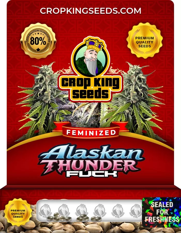 Alaskan Thunder Fuck Feminized Marijuana Seeds