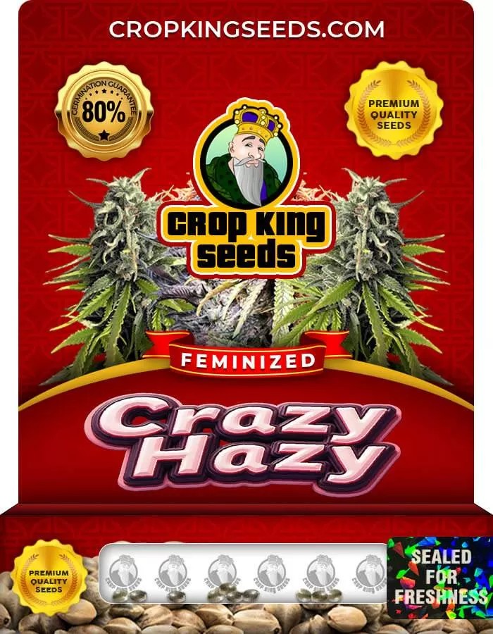 Crazy Hazy Strain Feminized Marijuana Seeds