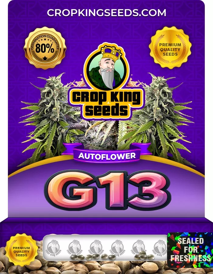 G13 Autoflower Marijuana Seeds
