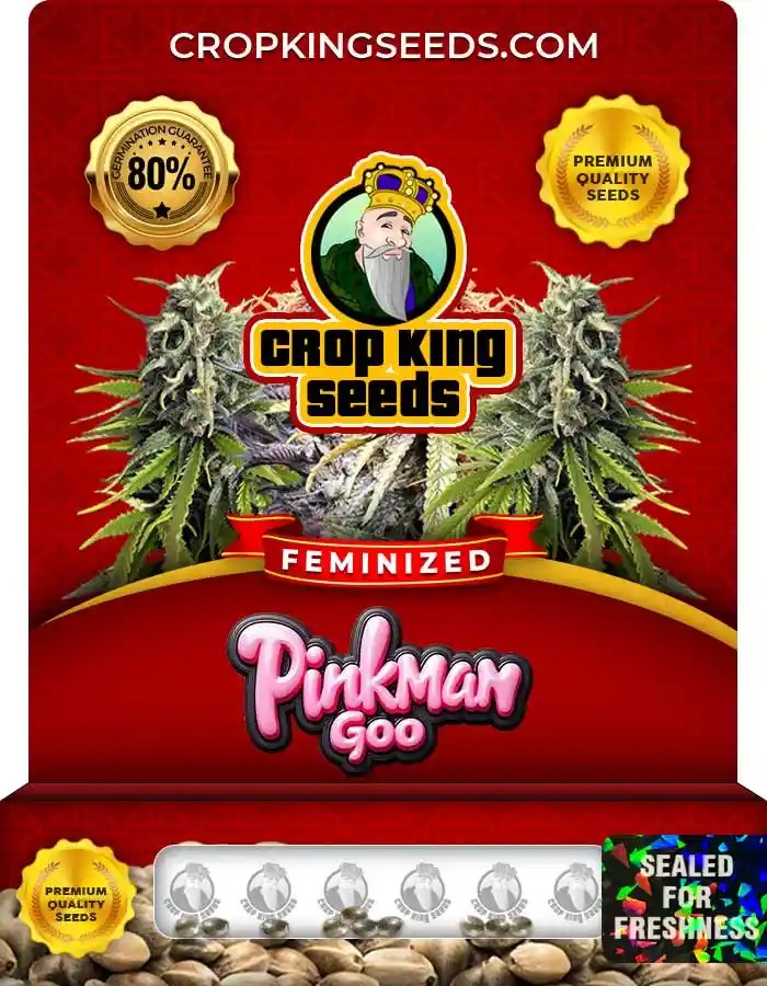 Pinkman Goo Feminized Seeds