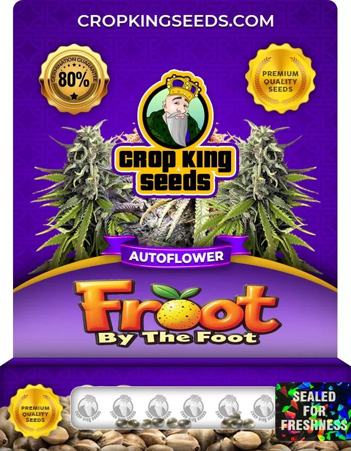 Froot by the Foot Autoflowering Feminized Marijuana Seeds