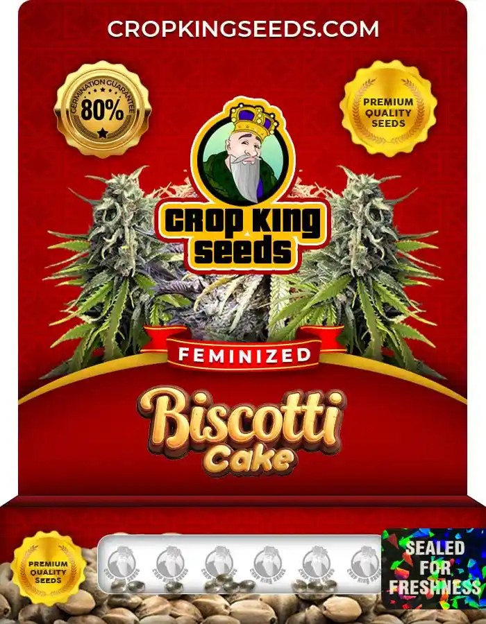 Biscotti Cake Strain Feminized Marijuana Seeds