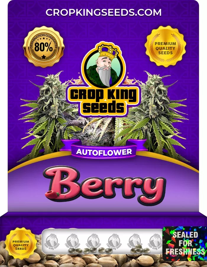 Berry Autoflowering Marijuana Seeds