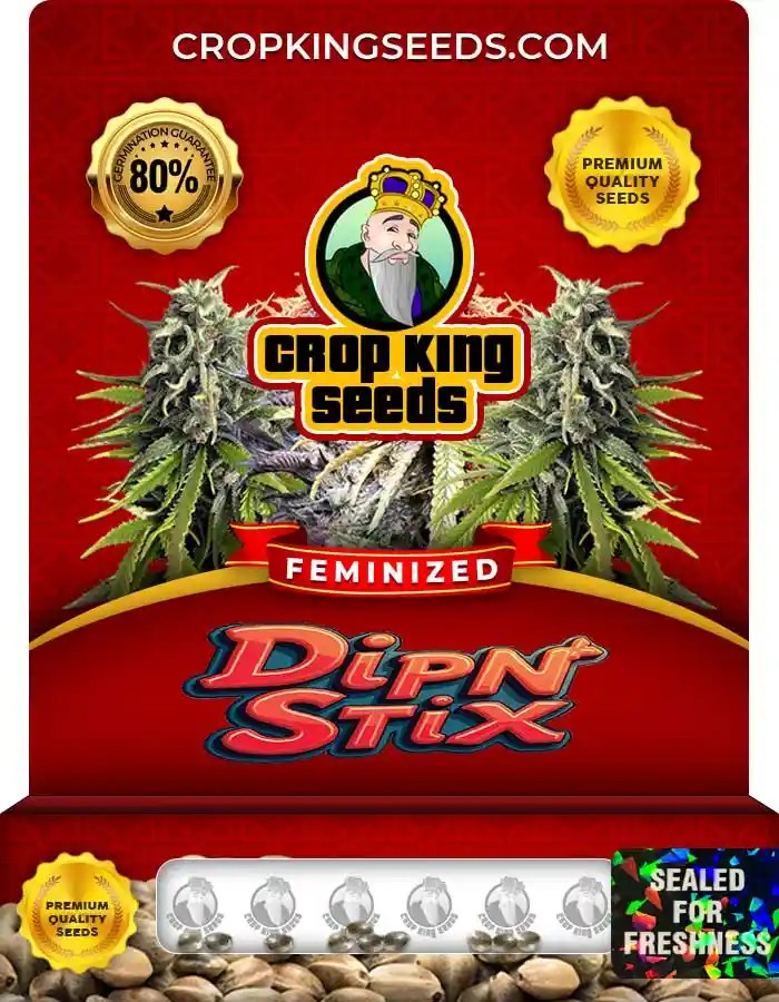 Dip N Stix Strain Feminized Marijuana Seeds