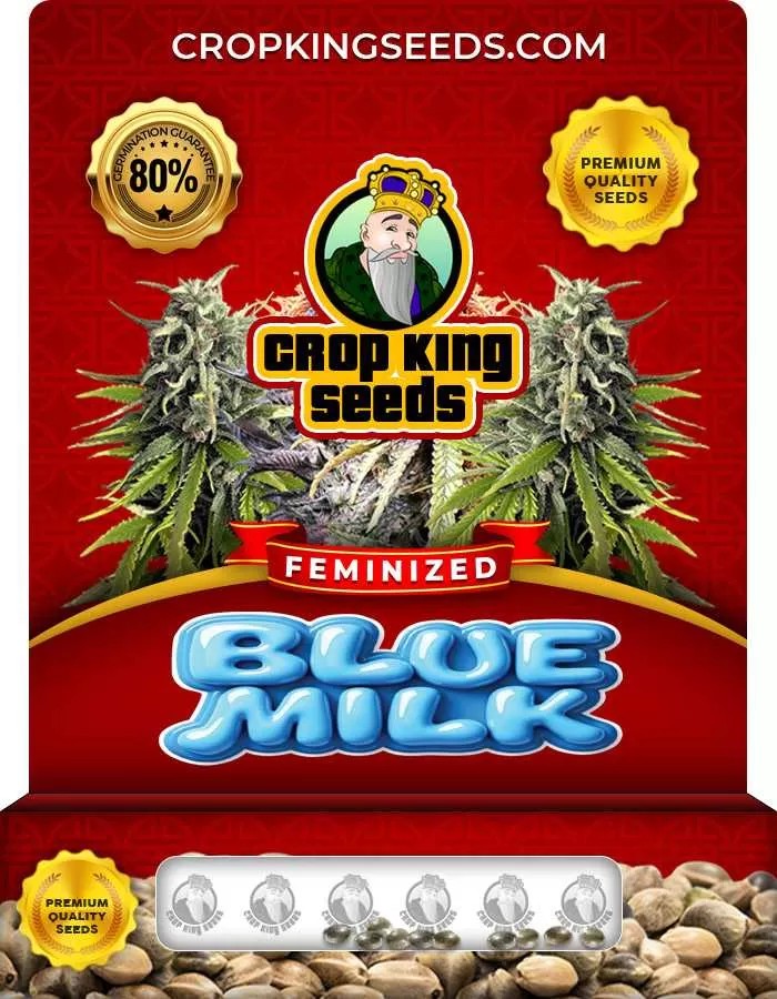 Blue Milk Strain Feminized Marijuana Seeds