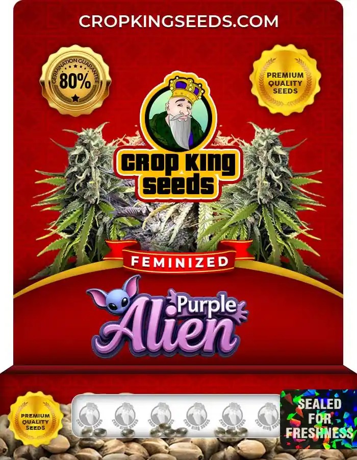 Purple Alien Feminized Seeds