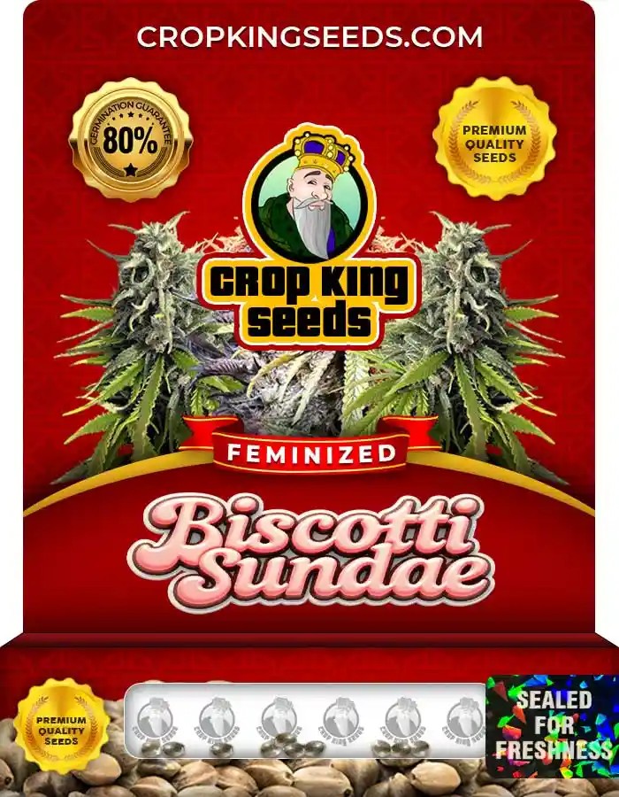 Biscotti Sundae Strain Feminized Marijuana Seeds