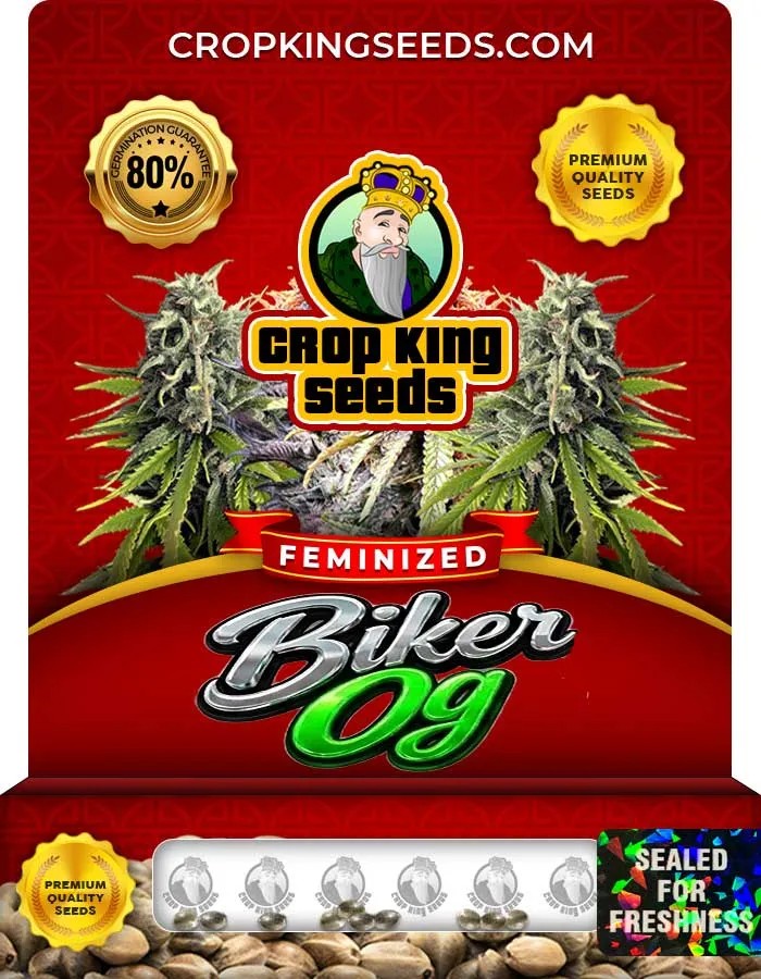 Biker Og Strain Feminized Seeds