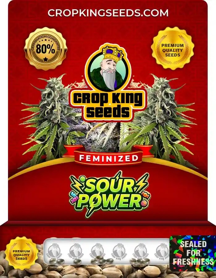 Sour Power Strain Feminized Marijuana Seeds