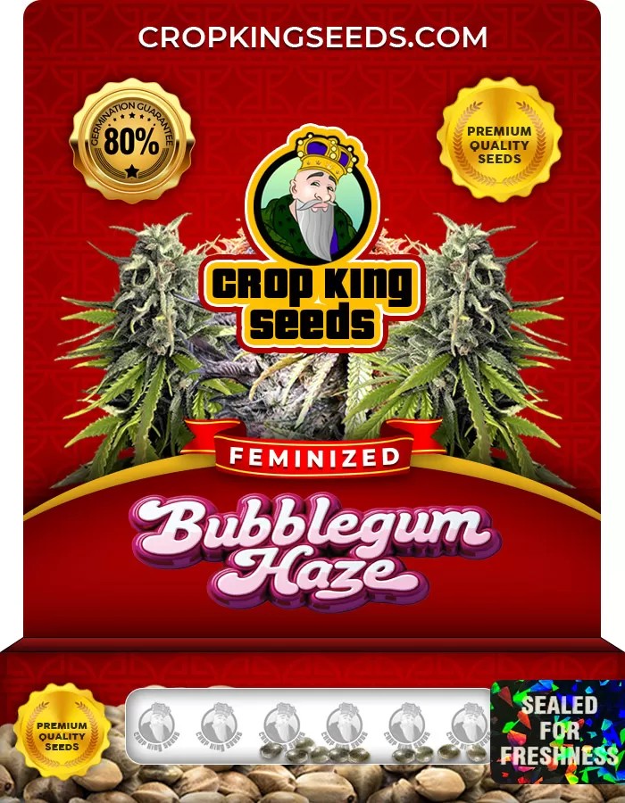 Bubblegum Haze Feminized Marijuana Seeds