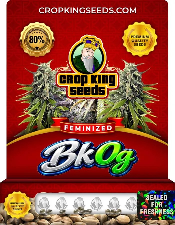 Bk Og Strain Feminized Seeds