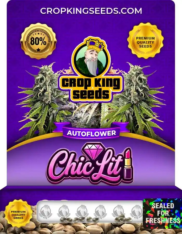 Chic Lit Autoflower Seeds