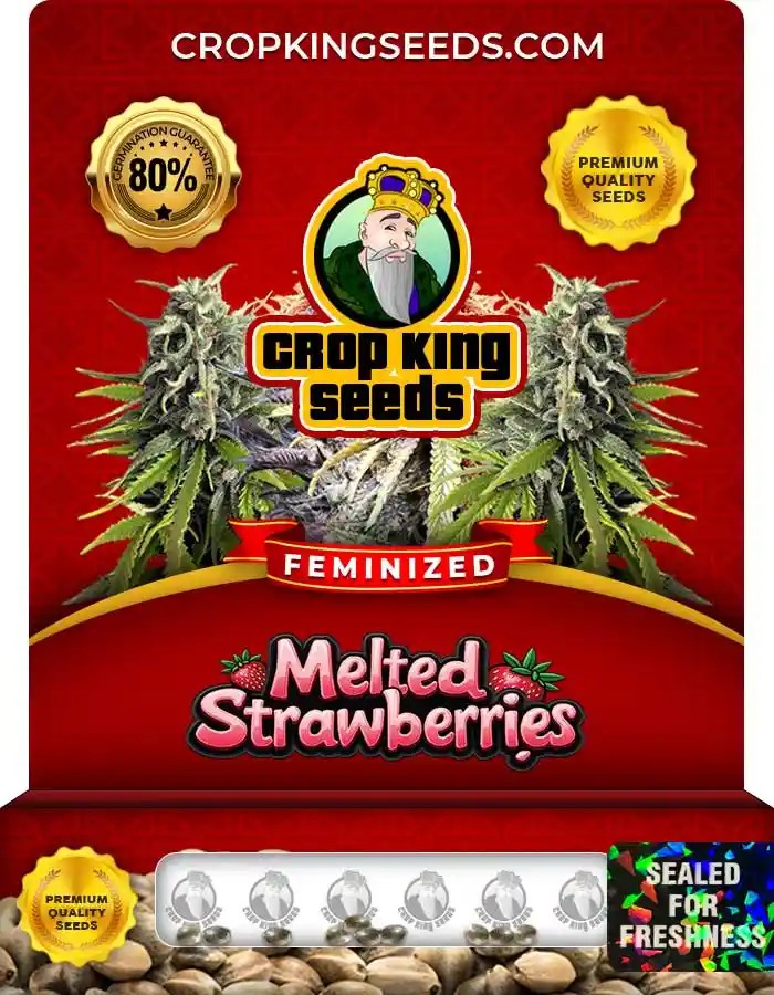 Melted Strawberries Strain Feminized Marijuana Seeds