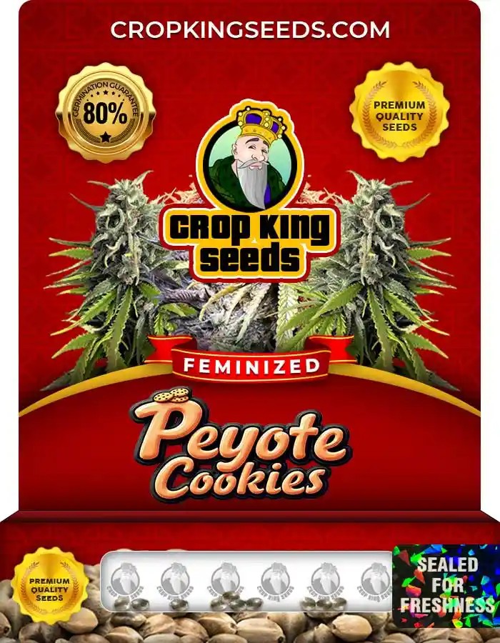 Peyote Cookies Strain Feminized Marijuana Seeds