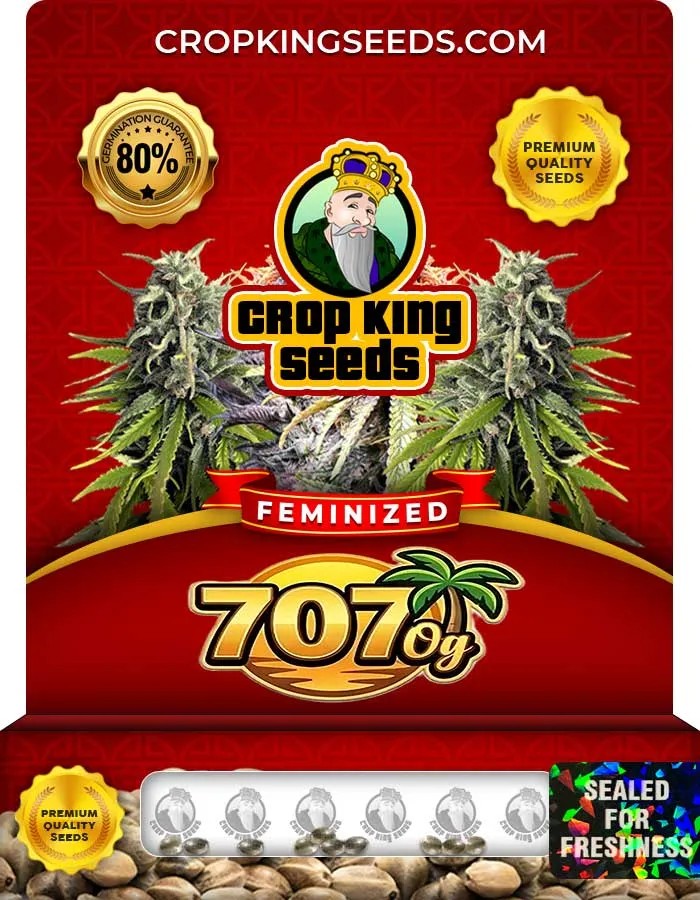 707 Og Strain Feminized Seeds