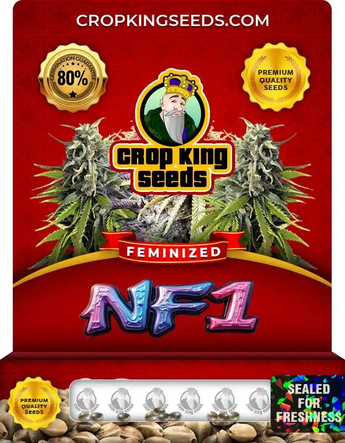 NF1 Strain Feminized Marijuana Seeds