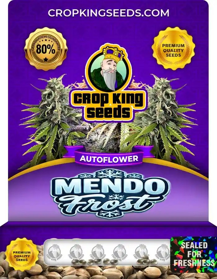 Mendo Frost Autoflower Seeds