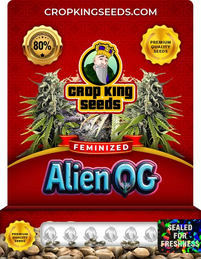 Alien OG Feminized Marijuana Seeds