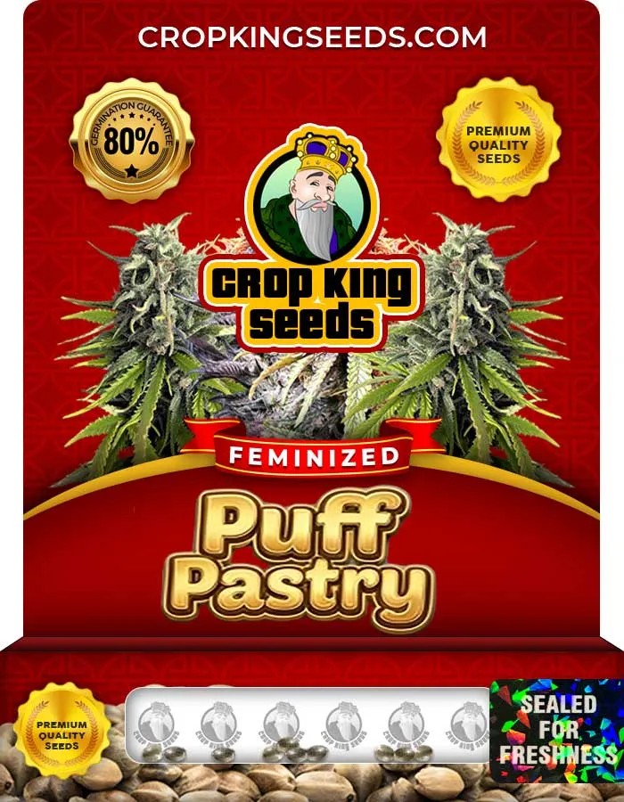 Puff Pastry Strain Feminized Seeds